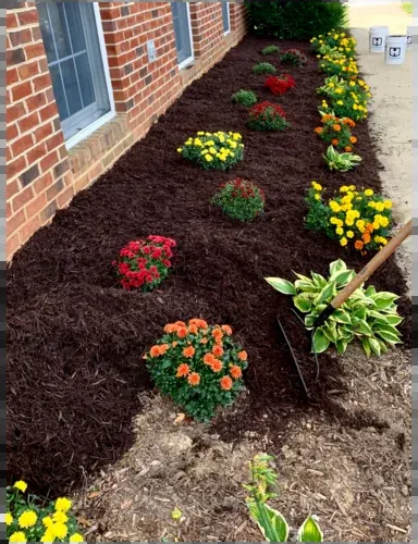 A mulched flower bed with colorful annuals along a brick house