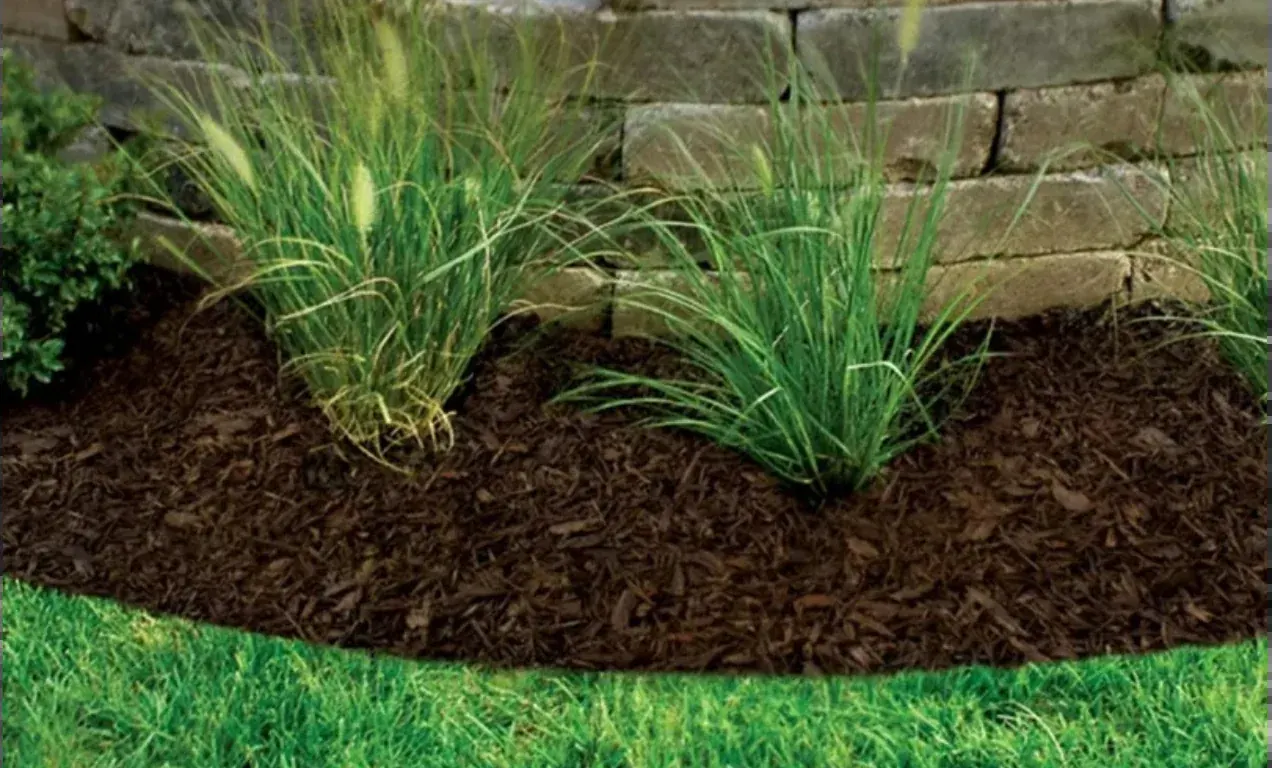 A mulched landscape bed with ornamental grasses in front of a stone retaining wall