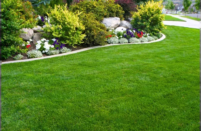 A freshly mowed green lawn beside landscaped flower beds